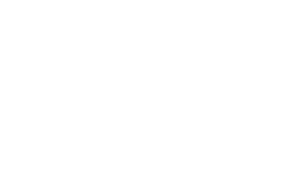 Martin Logan Logo